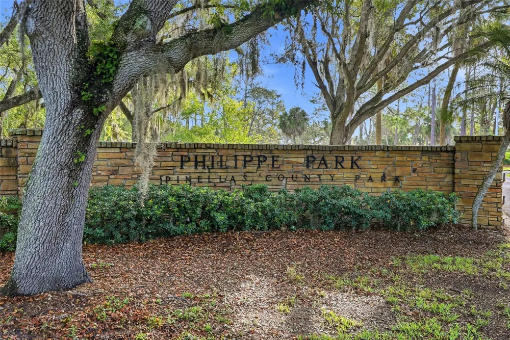 2376 RAJEL AVENUE Safety Harbor, FL 34695