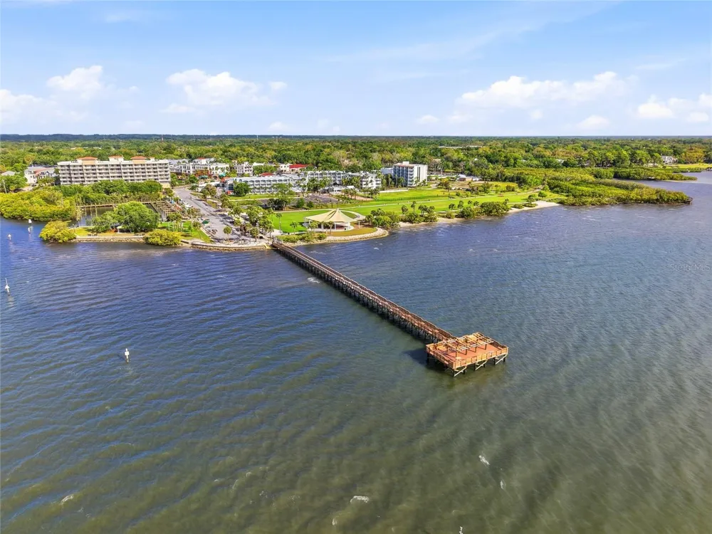 2376 RAJEL AVENUE Safety Harbor, FL 34695