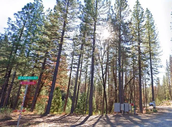 7331 Wentworth Georgetown, CA 95634