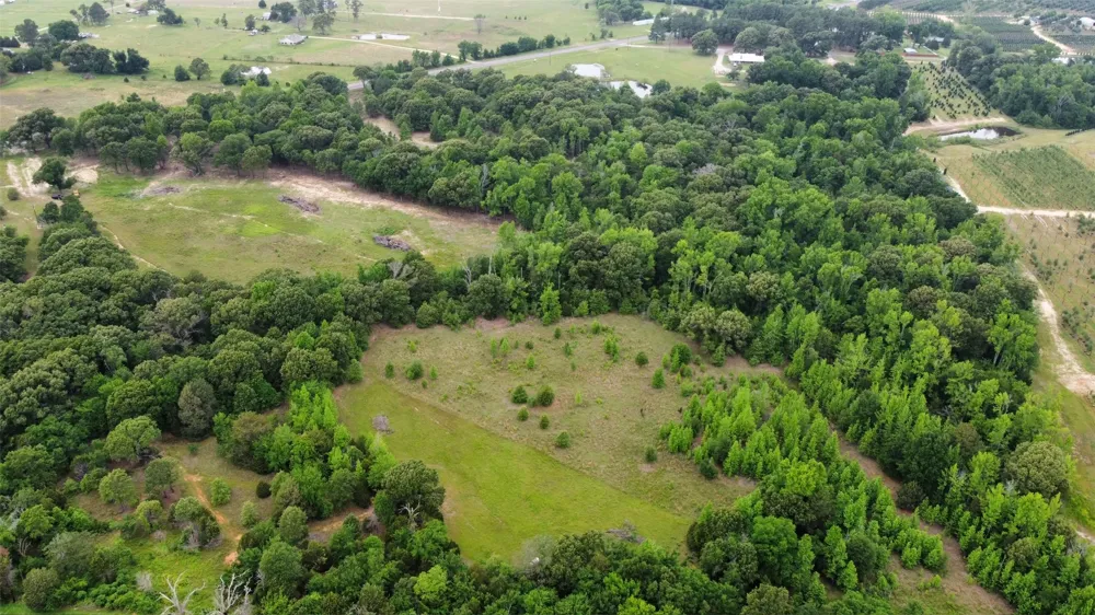 23551 State Highway 19 Canton, TX 75103