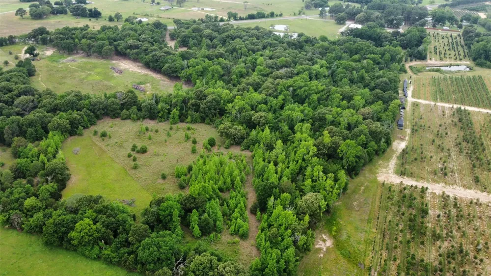 23551 State Highway 19 Canton, TX 75103