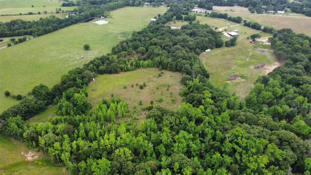 23551 State Highway 19 Canton, TX 75103