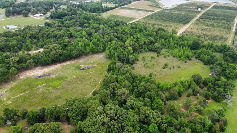 23551 State Highway 19 Canton, TX 75103
