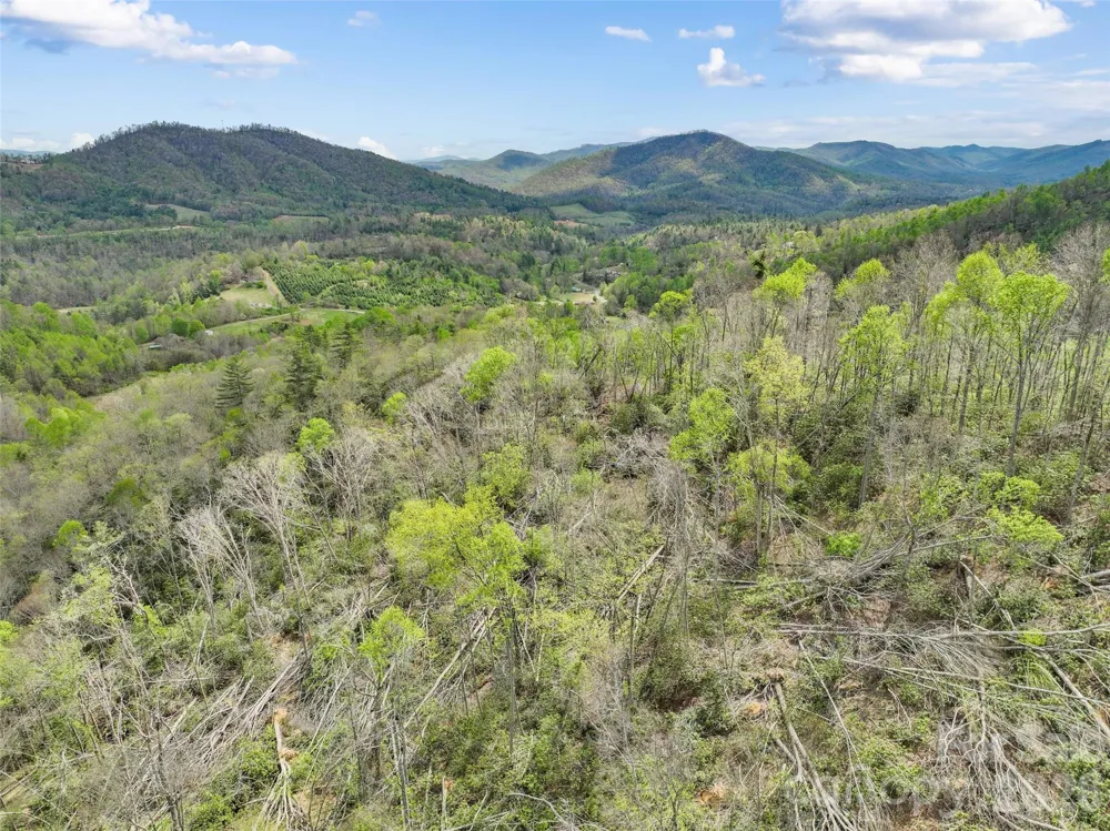 TBD Sierra Drive Bakersville, NC 28705