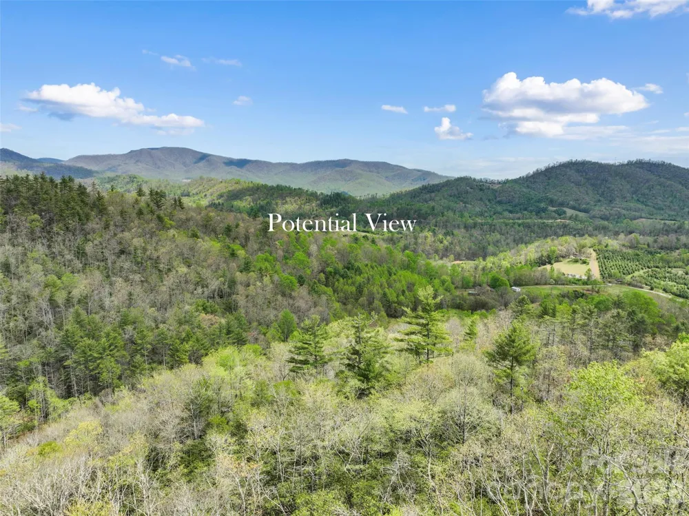 TBD Sierra Drive Bakersville, NC 28705