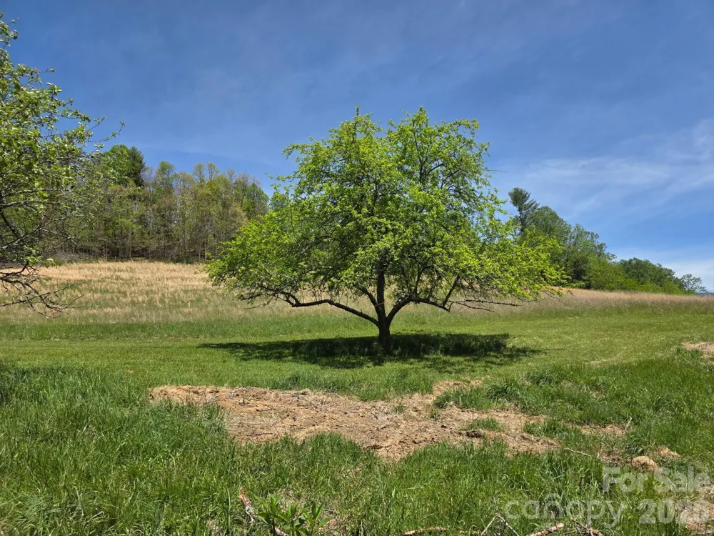 TBD Sierra Drive Bakersville, NC 28705