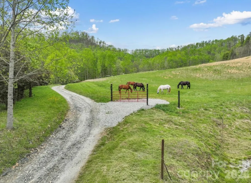 TBD Sierra Drive Bakersville, NC 28705