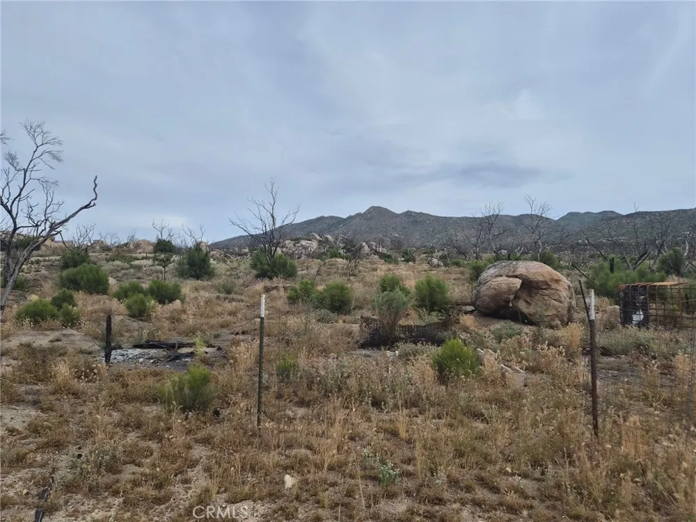1 Tule Peak Road Anza, CA 92536