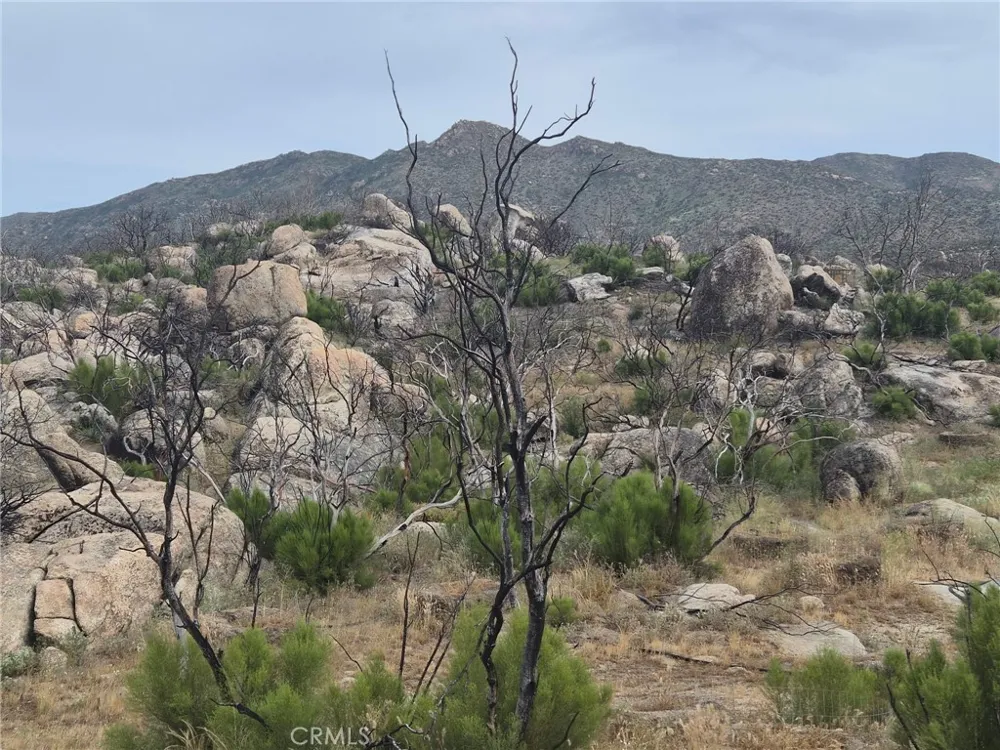 1 Tule Peak Road Anza, CA 92536