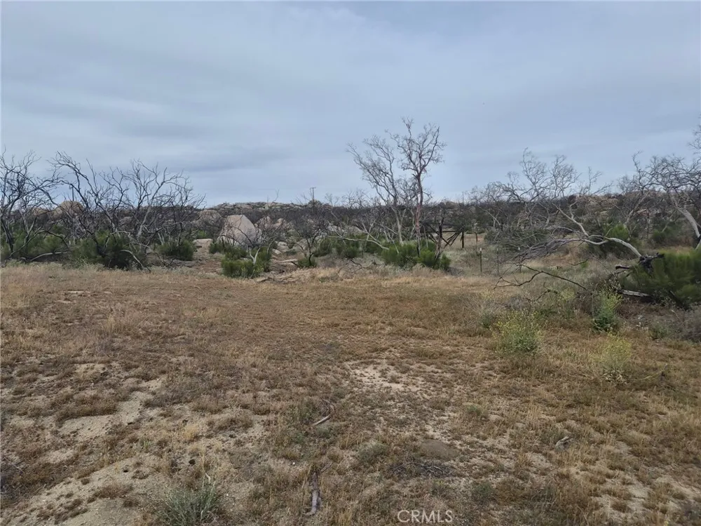 1 Tule Peak Road Anza, CA 92536