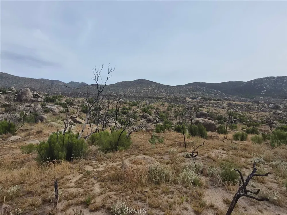 1 Tule Peak Road Anza, CA 92536