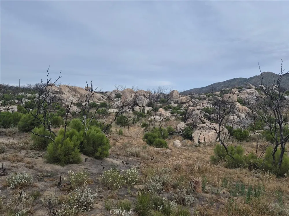 1 Tule Peak Road Anza, CA 92536