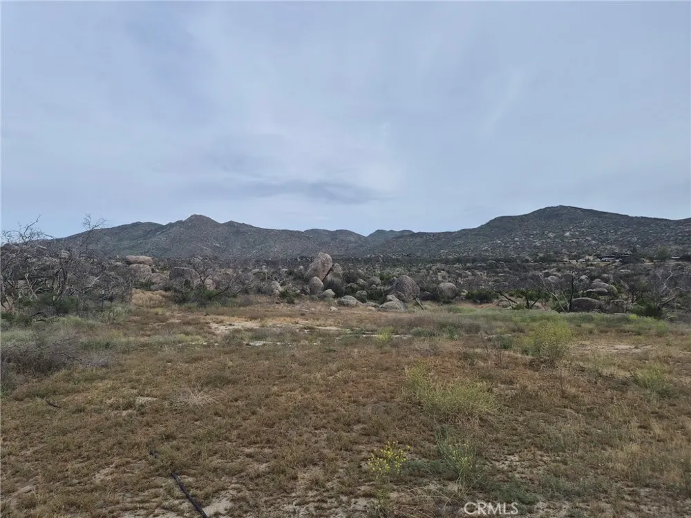 1 Tule Peak Road Anza, CA 92536