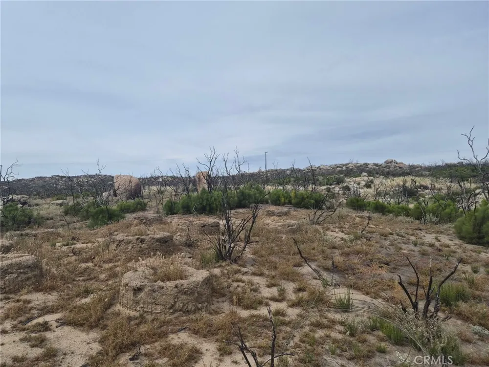 1 Tule Peak Road Anza, CA 92536
