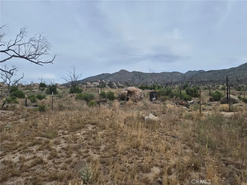 1 Tule Peak Road Anza, CA 92536