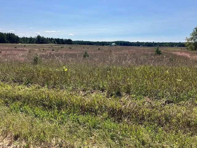 5 Horseshoe Trail Bay Township, MI 49770