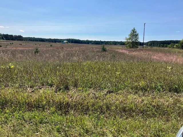5 Horseshoe Trail Bay Township, MI 49770
