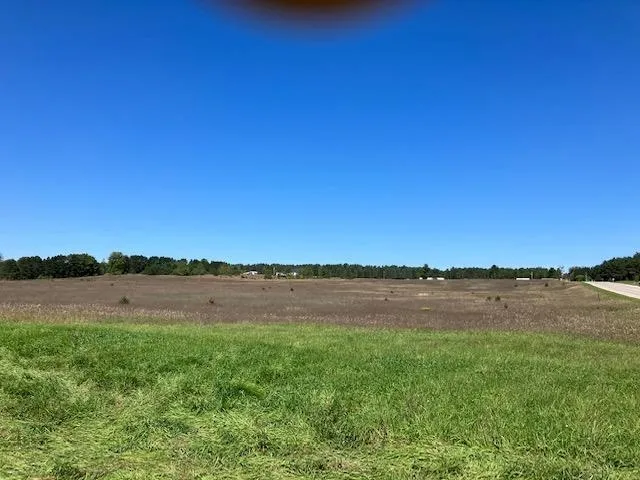 5 Horseshoe Trail Bay Township, MI 49770