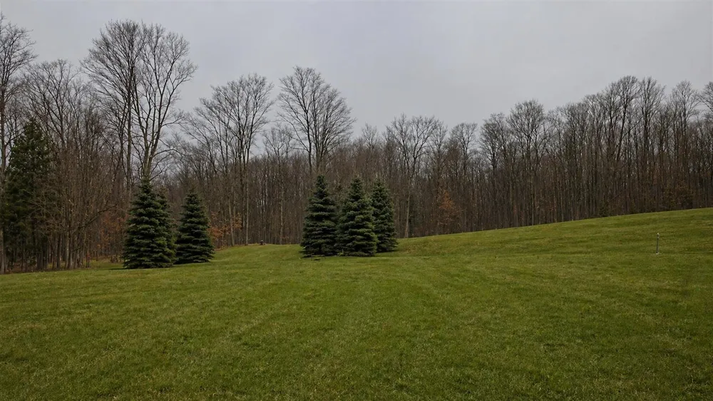5 Horseshoe Trail Bay Township, MI 49770