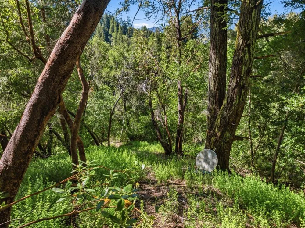360 Rincon Way Boulder Creek, CA 95006