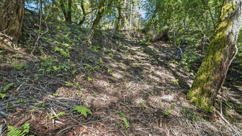 360 Rincon Way Boulder Creek, CA 95006