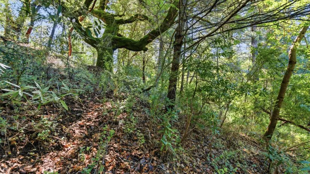 360 Rincon Way Boulder Creek, CA 95006