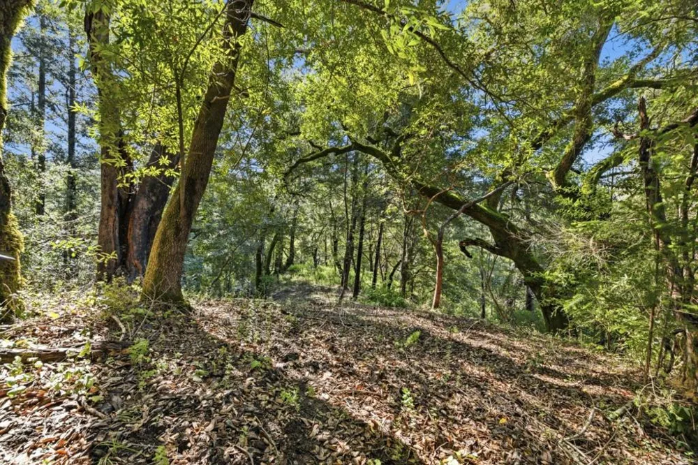 360 Rincon Way Boulder Creek, CA 95006