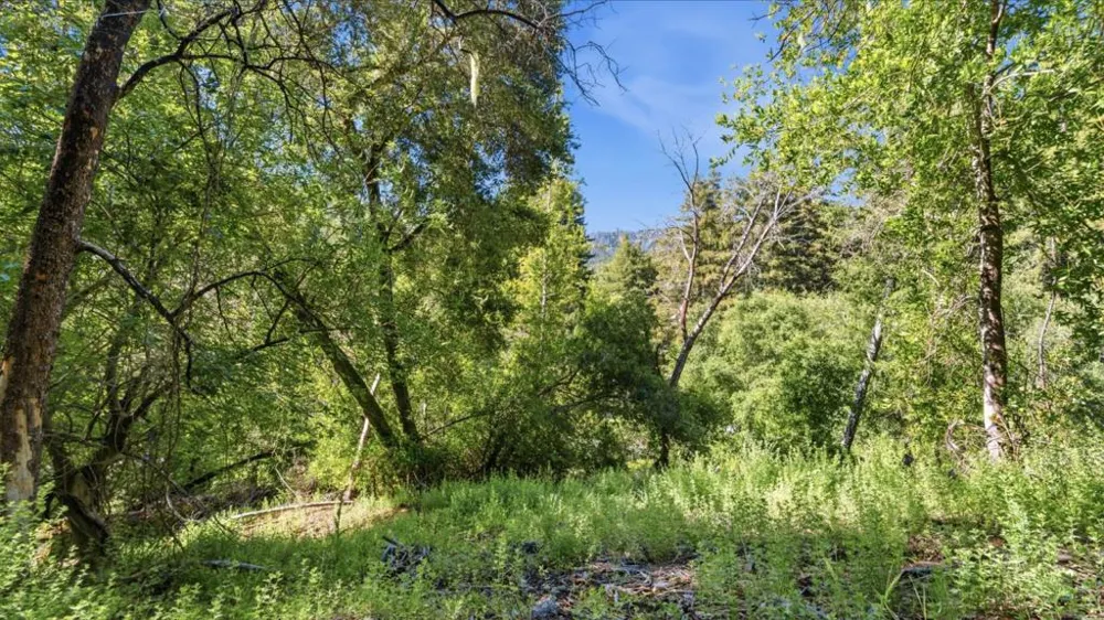 360 Rincon Way Boulder Creek, CA 95006