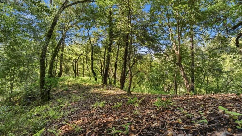 360 Rincon Way Boulder Creek, CA 95006