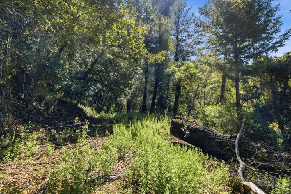 360 Rincon Way Boulder Creek, CA 95006