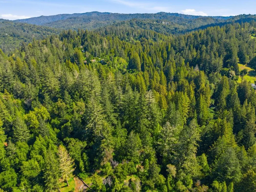 360 Rincon Way Boulder Creek, CA 95006
