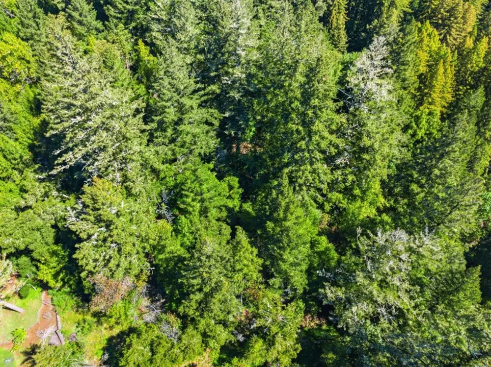 360 Rincon Way Boulder Creek, CA 95006