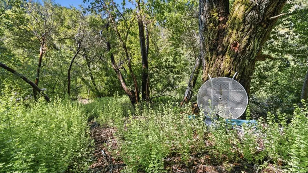 360 Rincon Way Boulder Creek, CA 95006