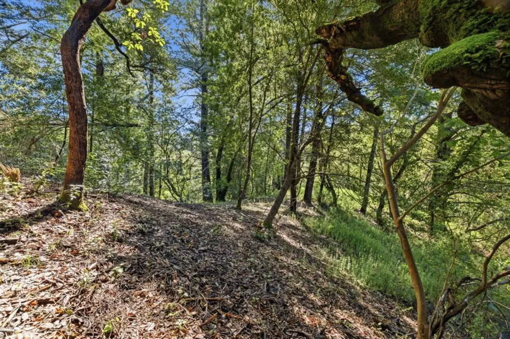 360 Rincon Way Boulder Creek, CA 95006