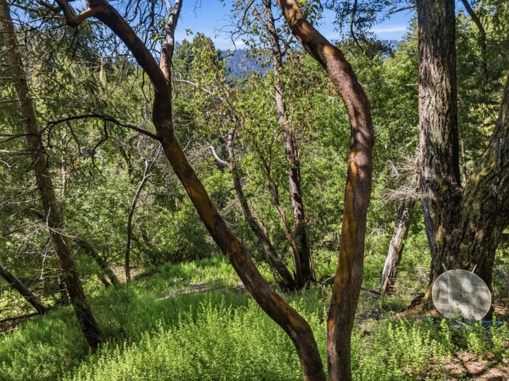 360 Rincon Way Boulder Creek, CA 95006