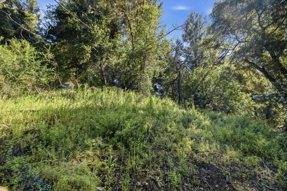 360 Rincon Way Boulder Creek, CA 95006