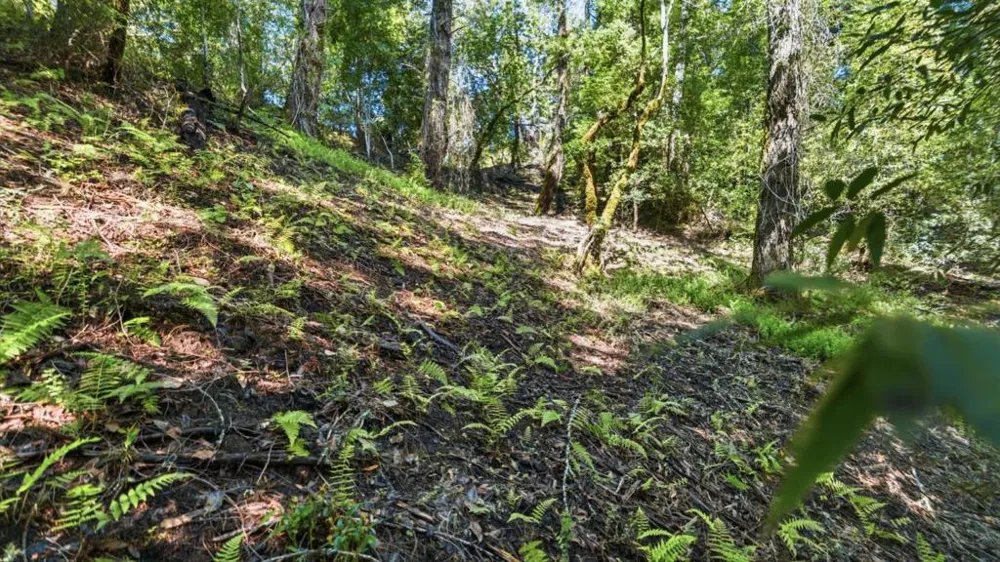 360 Rincon Way Boulder Creek, CA 95006