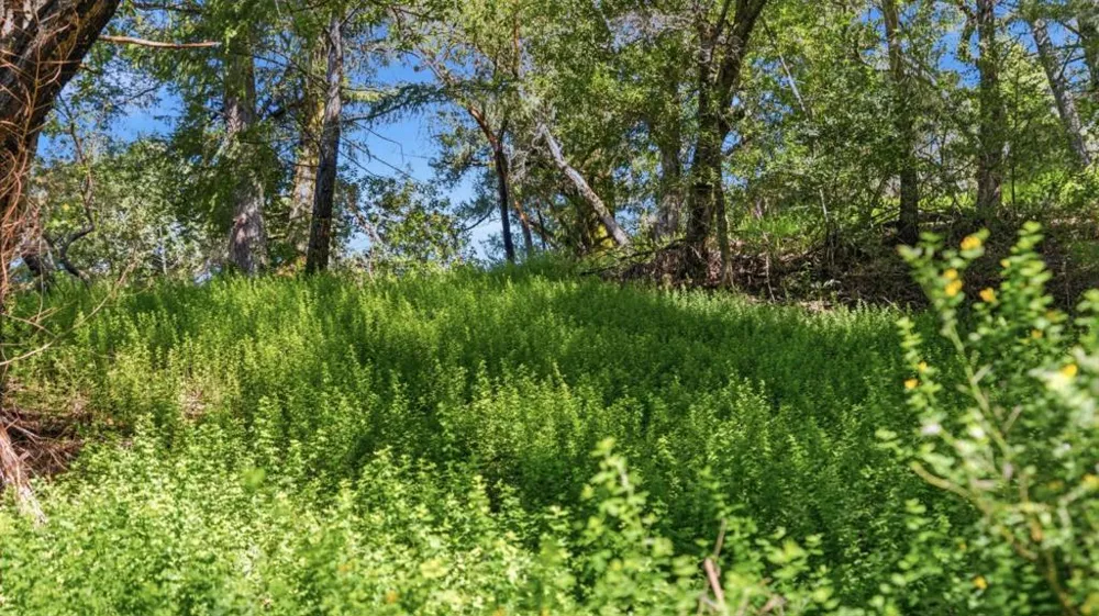 360 Rincon Way Boulder Creek, CA 95006