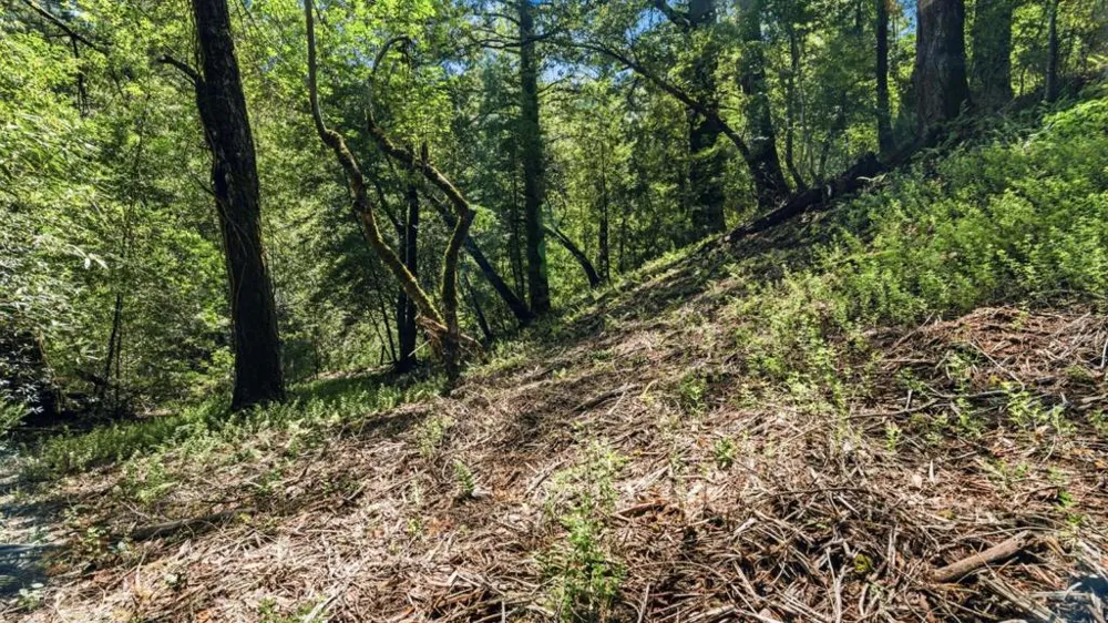 360 Rincon Way Boulder Creek, CA 95006