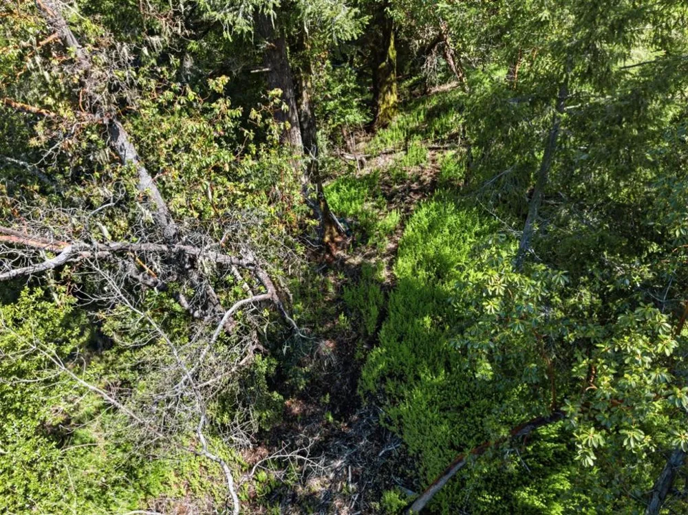 360 Rincon Way Boulder Creek, CA 95006