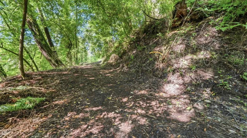 360 Rincon Way Boulder Creek, CA 95006