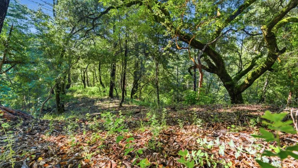 360 Rincon Way Boulder Creek, CA 95006