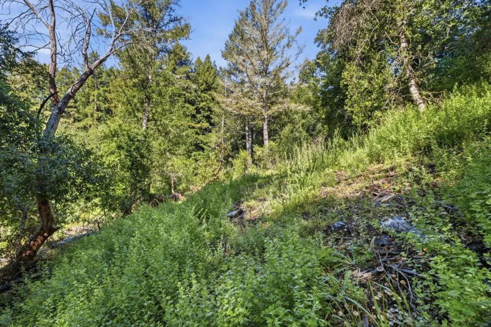 360 Rincon Way Boulder Creek, CA 95006