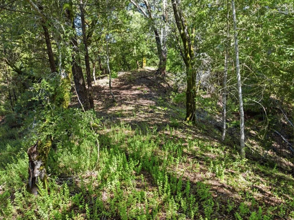 360 Rincon Way Boulder Creek, CA 95006