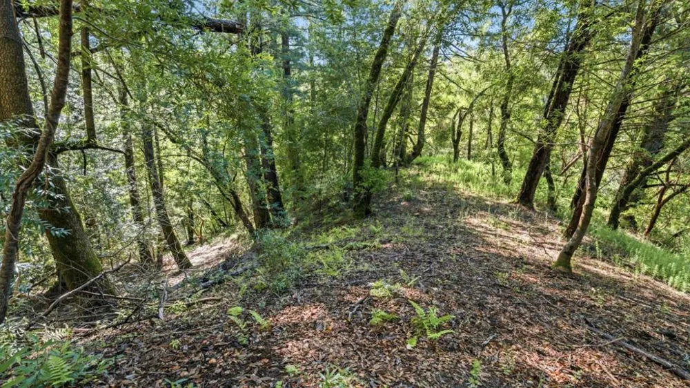 360 Rincon Way Boulder Creek, CA 95006