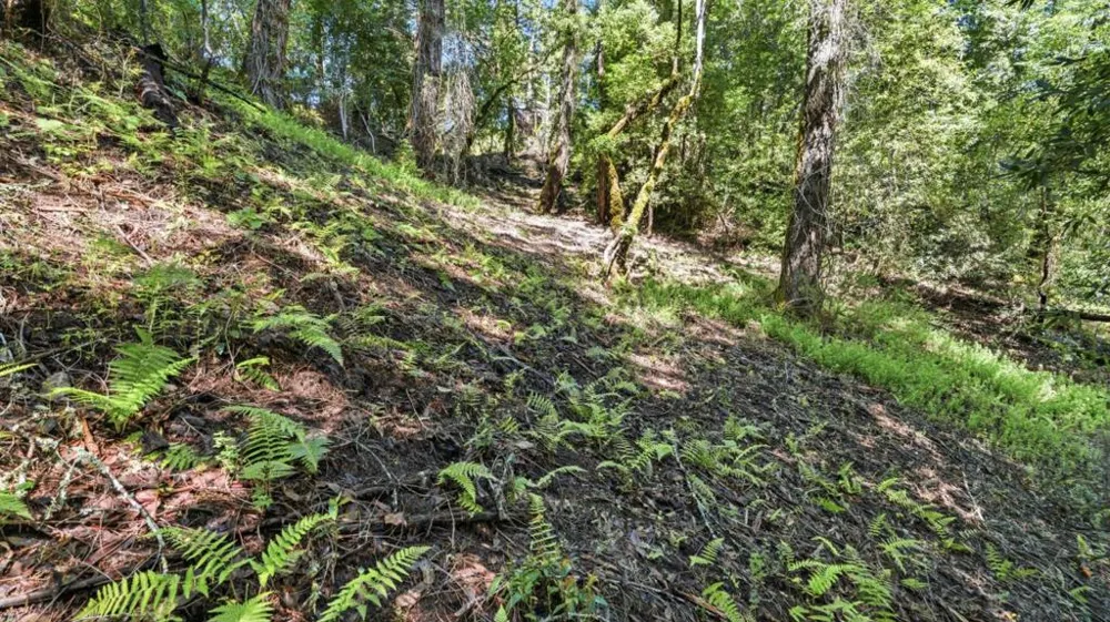 360 Rincon Way Boulder Creek, CA 95006
