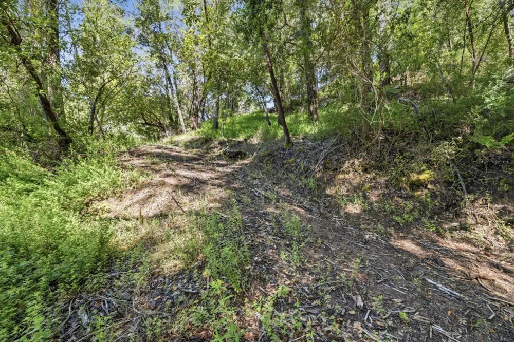 360 Rincon Way Boulder Creek, CA 95006