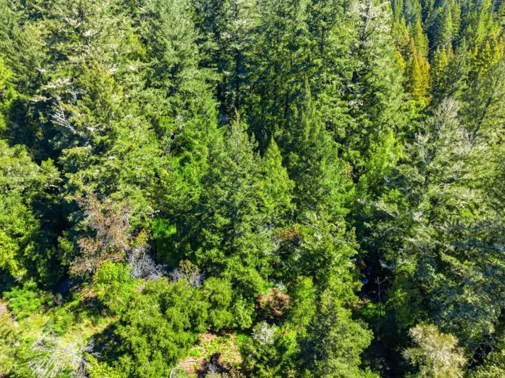 360 Rincon Way Boulder Creek, CA 95006