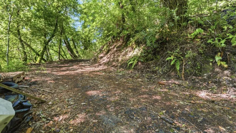 360 Rincon Way Boulder Creek, CA 95006