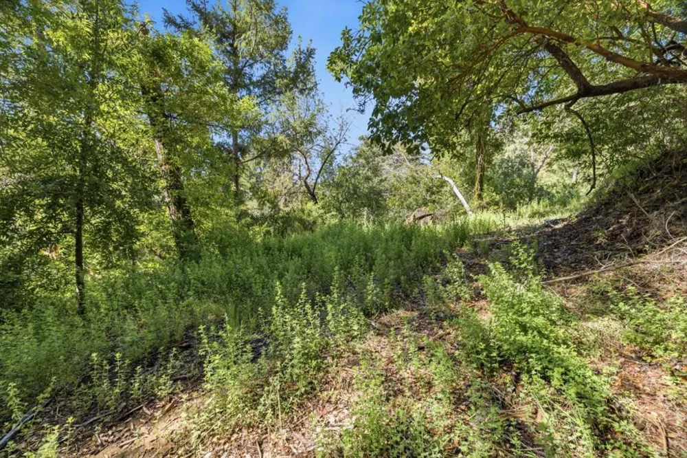 360 Rincon Way Boulder Creek, CA 95006